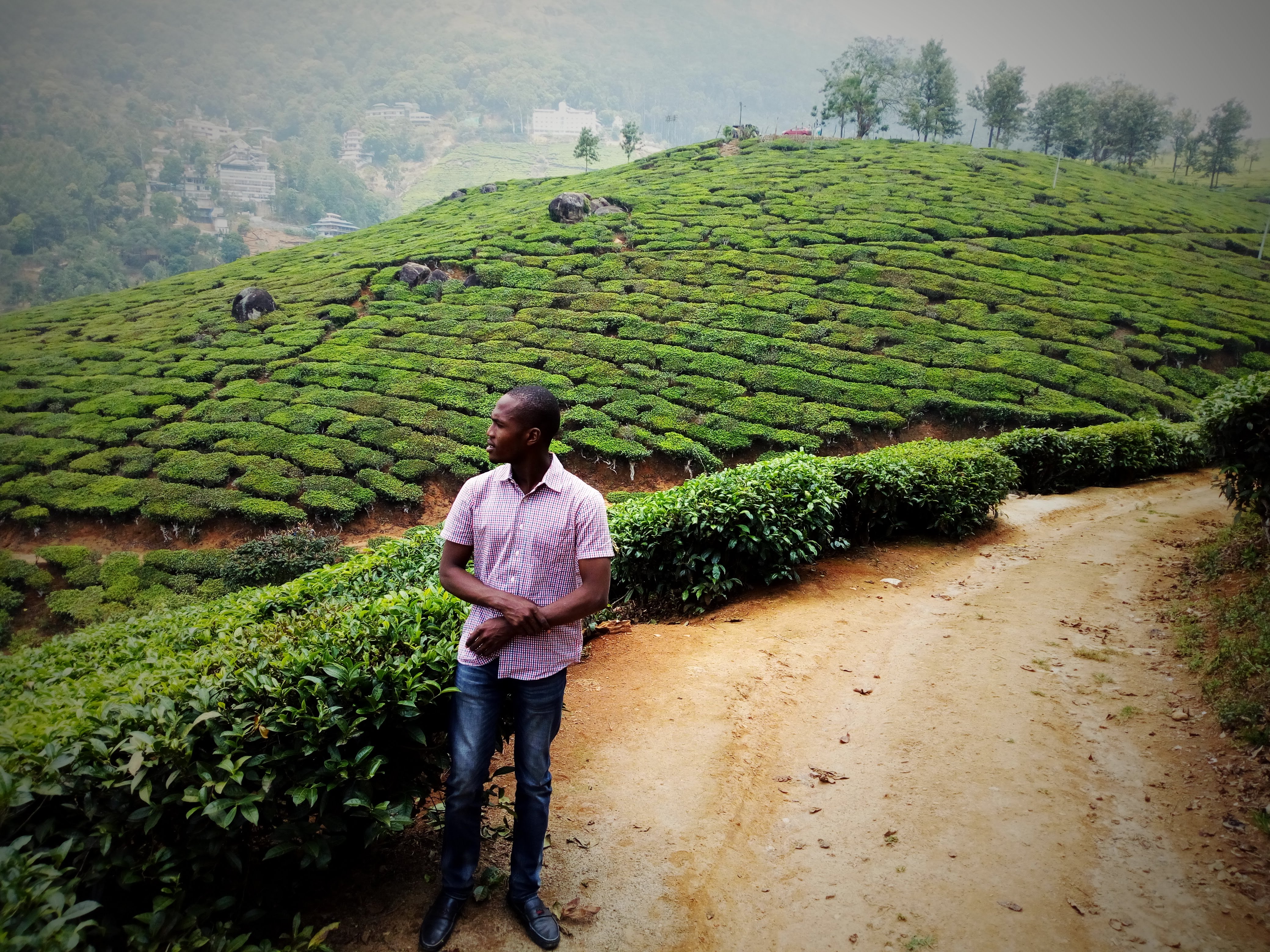 Musa at a tea farm in Kerala, India